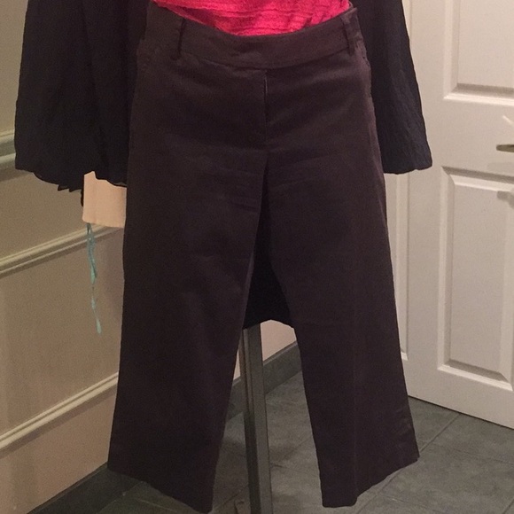 Zara Brown Capri - Picture 1 of 2